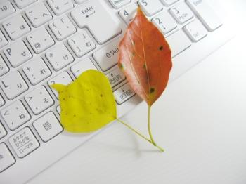 「ビジネスの秋」下半期へ向けての集客戦略